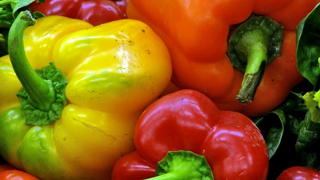 pasta alla crema di peperoni