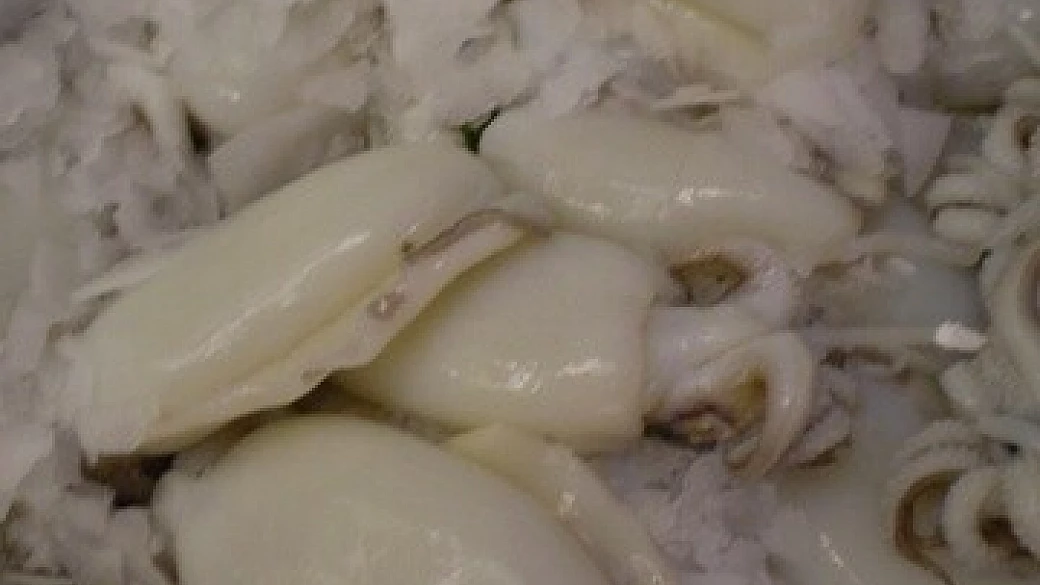 spaghetti con le seppioline