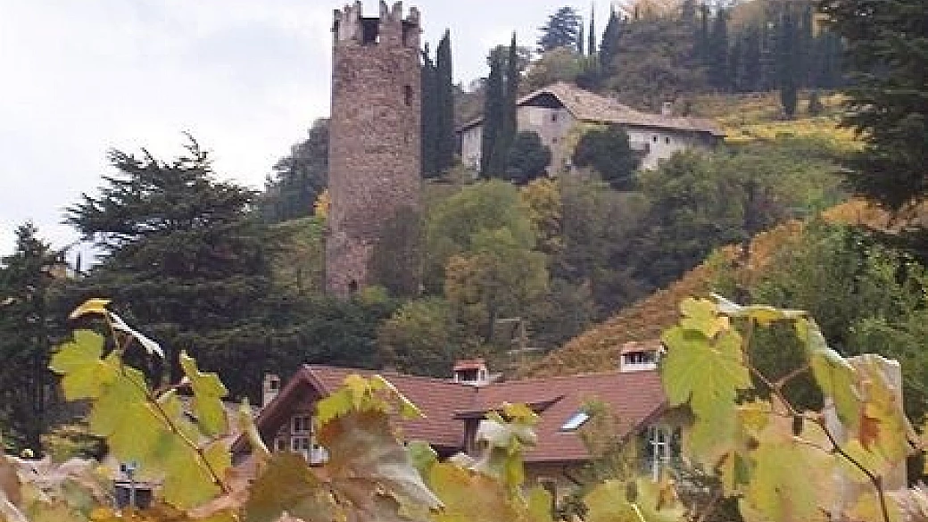 cercavo la natura, l'ho trovata trentino