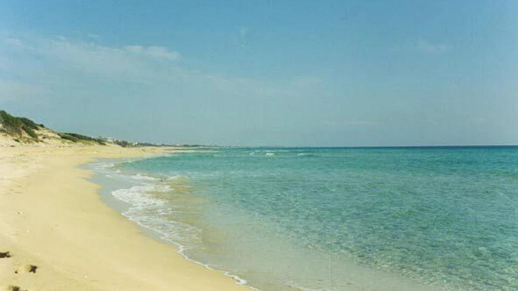 un paradiso di pugliese a due passi da casa...