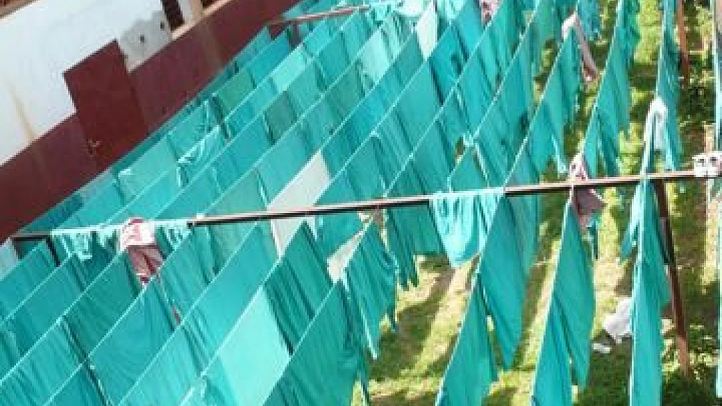 uganda e rwanda: gorilla e non solo