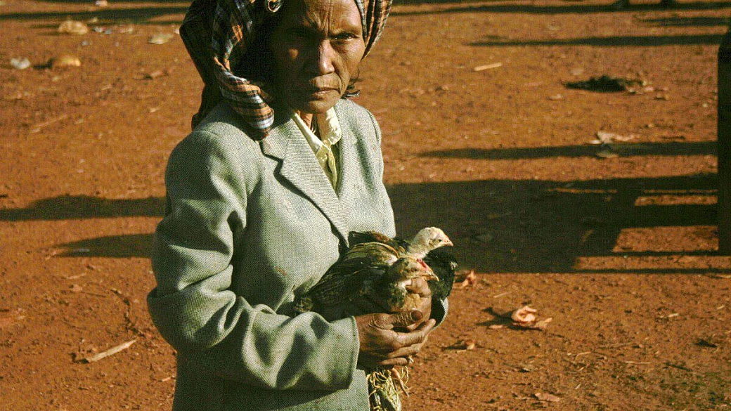 cambogia e thailandia in autonomia