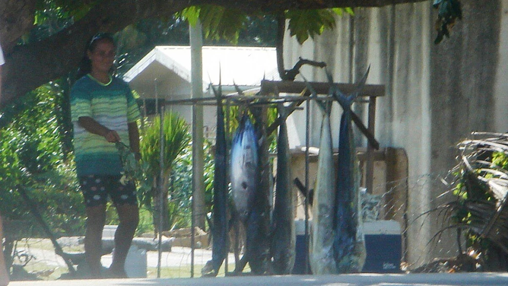 polinesia: il paradiso con il fai da te