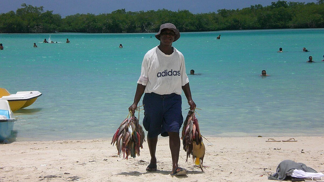 viva dominicus palace - santo domingo