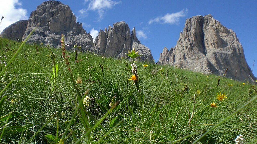 week-end in valnerina, softair into the wild