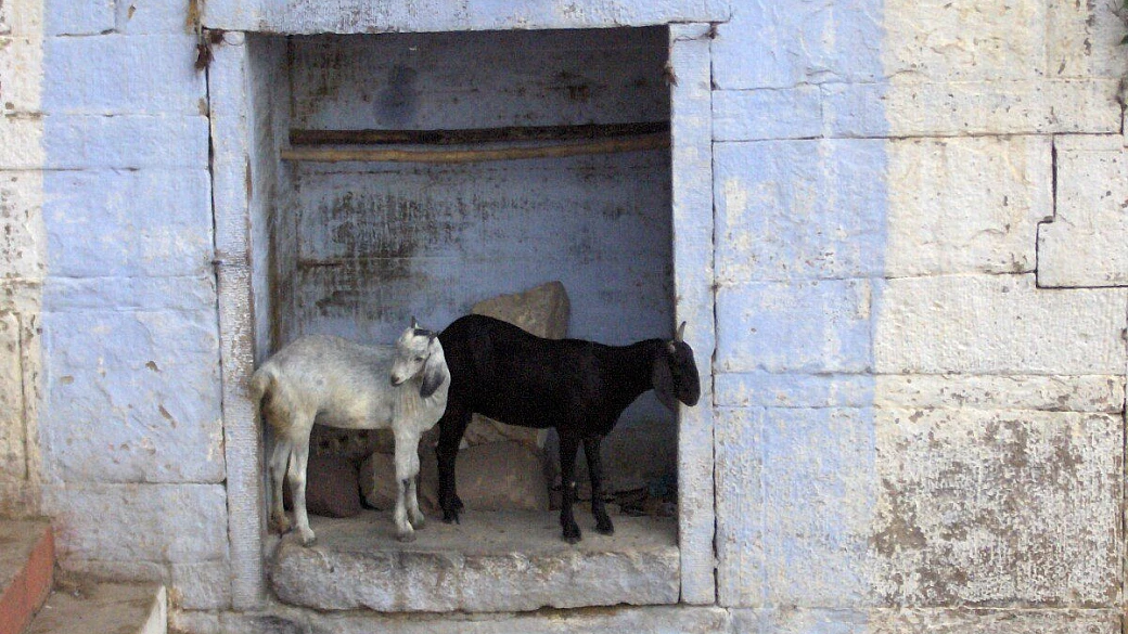 india del nord. quello che le guide non dicono