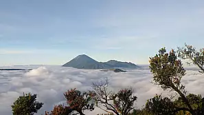 indonesia: tra vulcani, templi e... orangutan