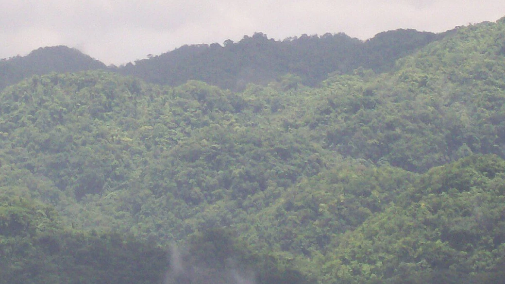 il viaggio dei sensi