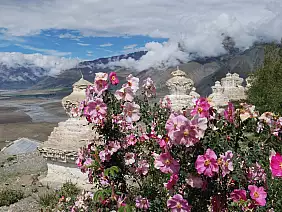 jammu-and-kashmir-z4hda