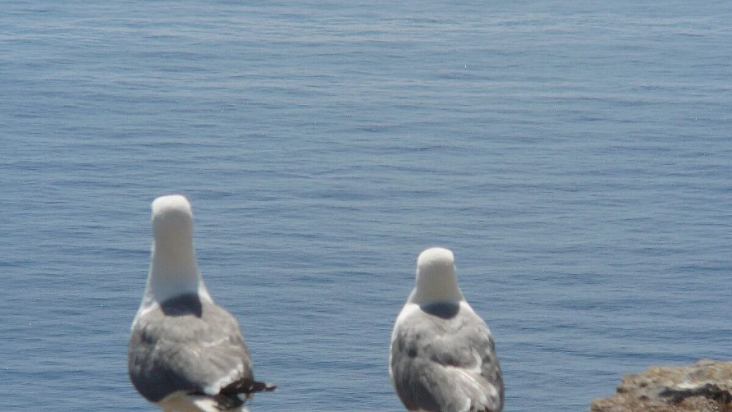 cammino di santiago in bici