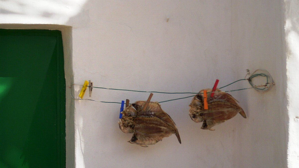 quattro ragazze a barcellona..