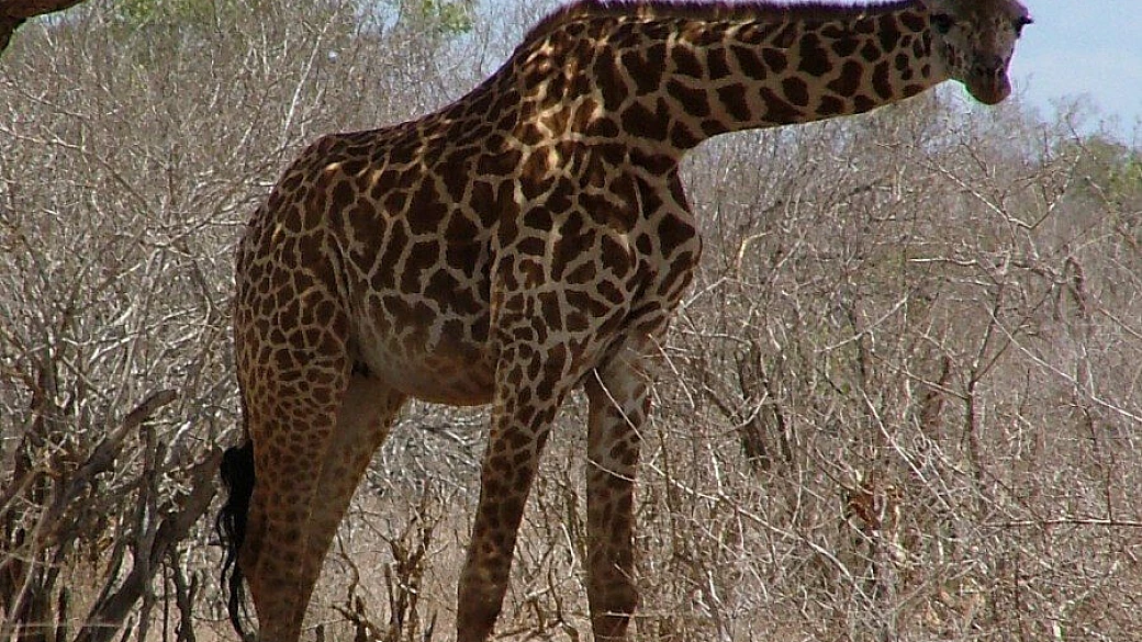 più che una vacanza