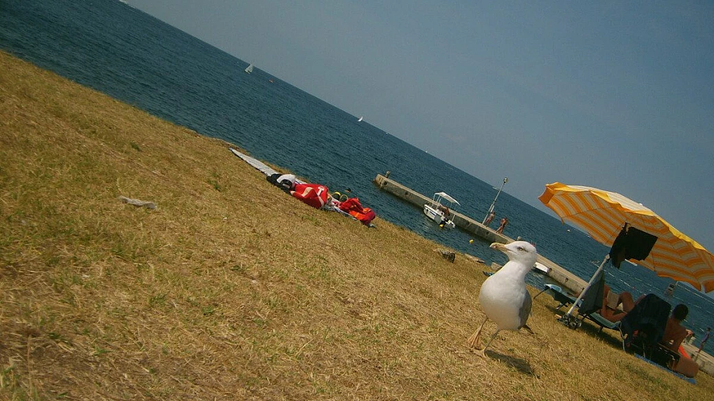 isola di pag in croazia, un sogno con qualche problema