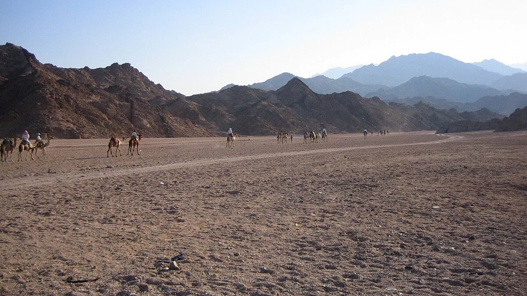 in fuga dal matrimonio