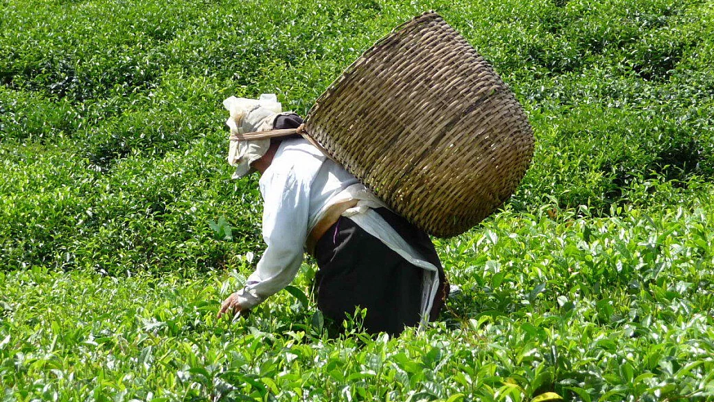 mauritius incantevole