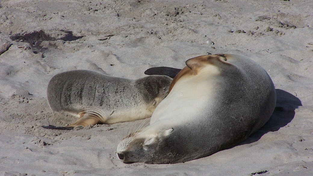 australia 2004, deserti e sabbia rossa