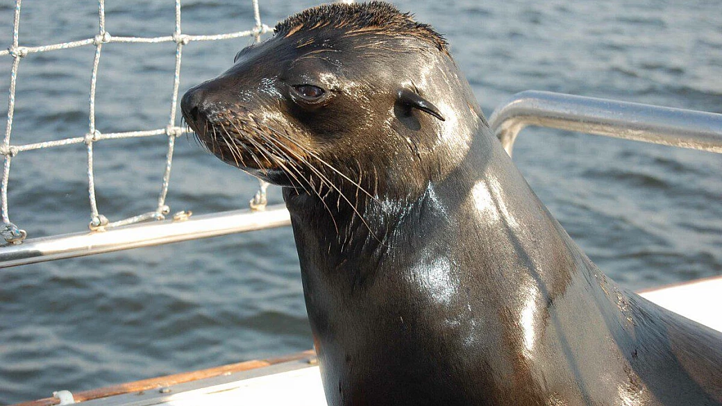 la namibia: terra delle mille emozioni