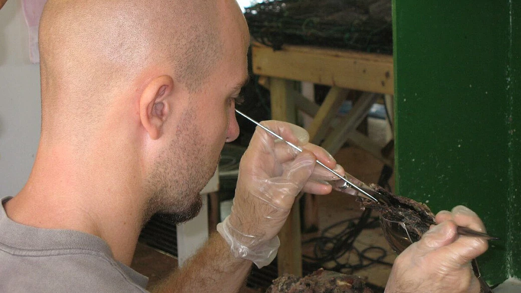 viaggio di nozze in polinesia..