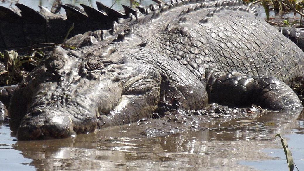 honeymoon in australia!