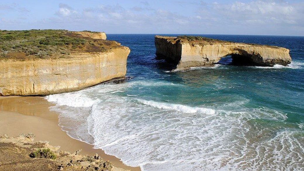 australia surf & wildlife