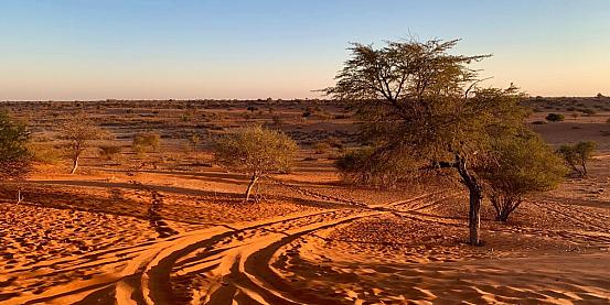 Namibia, la terra dai mille volti 4