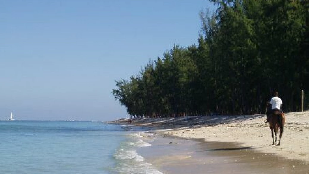 calodyne sur mer ad agosto