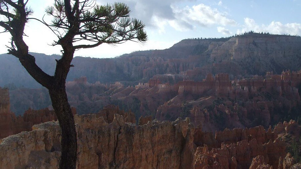 ny, amish county e new england