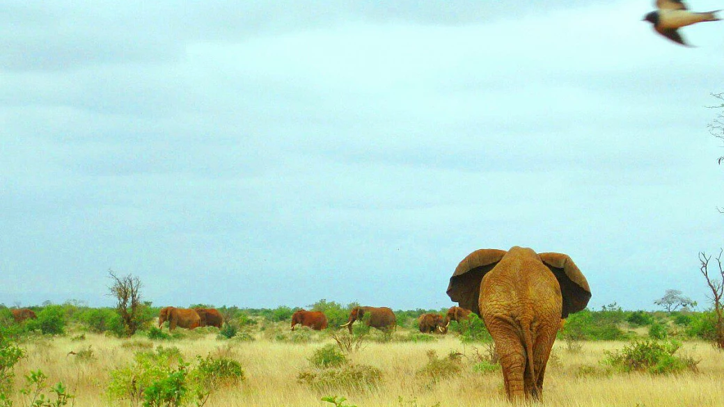 kenia: appunti per una vacanza akuna matata