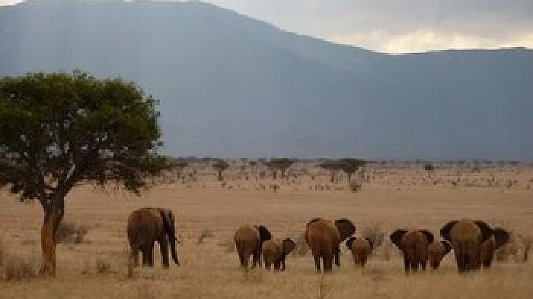 “safari njema niumbani – buon ritorno a casa”