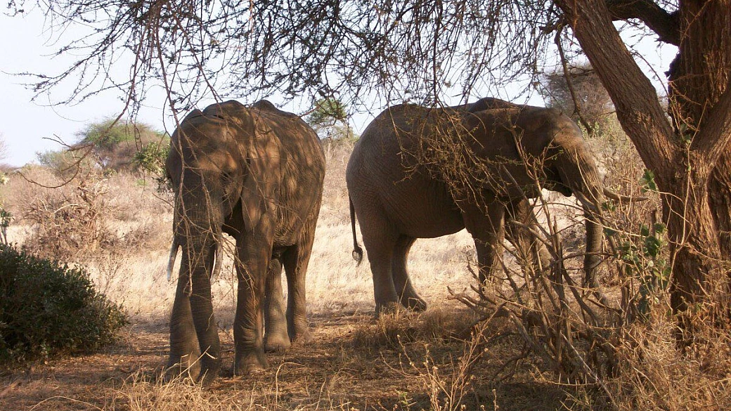 il nostro cuore è rimasto in kenya