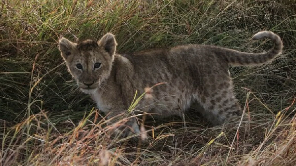 kenya, un paradiso dimenticato