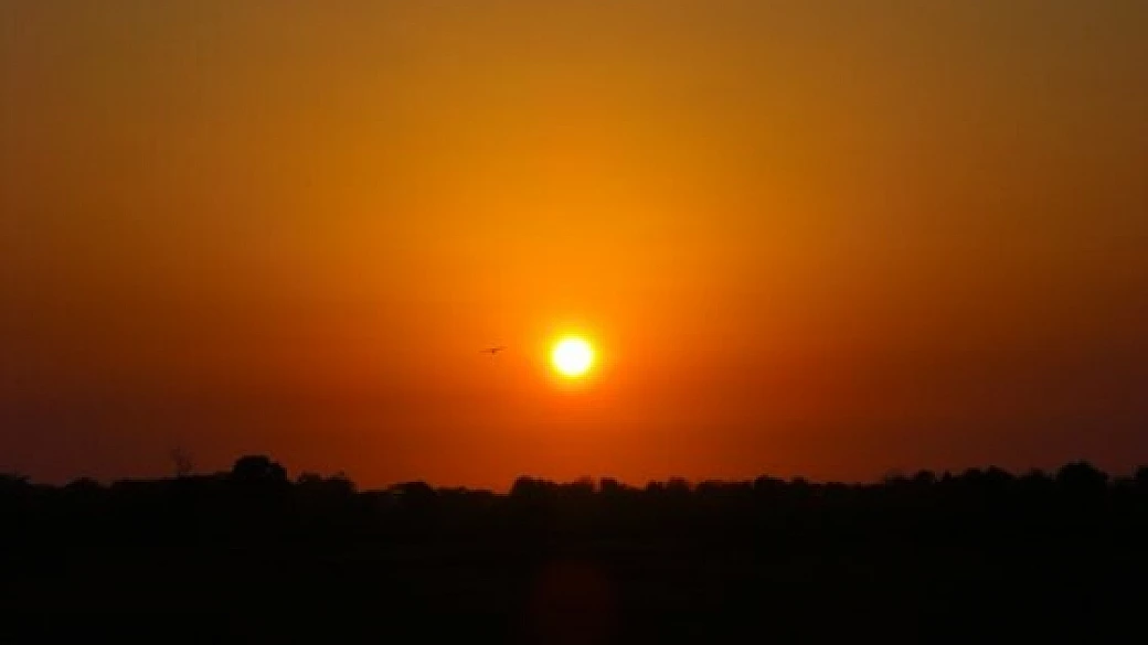 mr e miss raffa e il volontariato con apa onlus