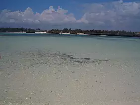 kenya-watamu-natura-38zce