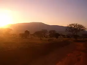 kenya-watamu-natura-6v7qb