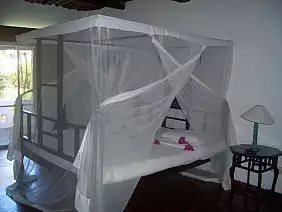 kenya-watamu-natura-ak8mh