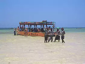 kenya-watamu-natura-gmr17