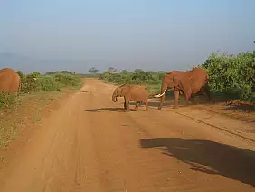 kenya-watamu-natura-jfxg2
