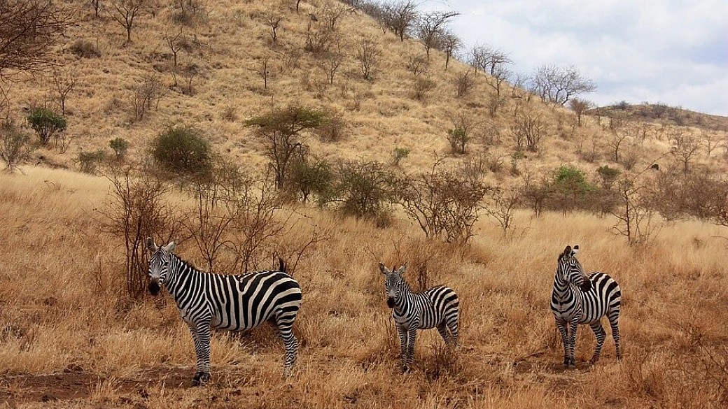 consigli in pillole per il kenya in autonomia