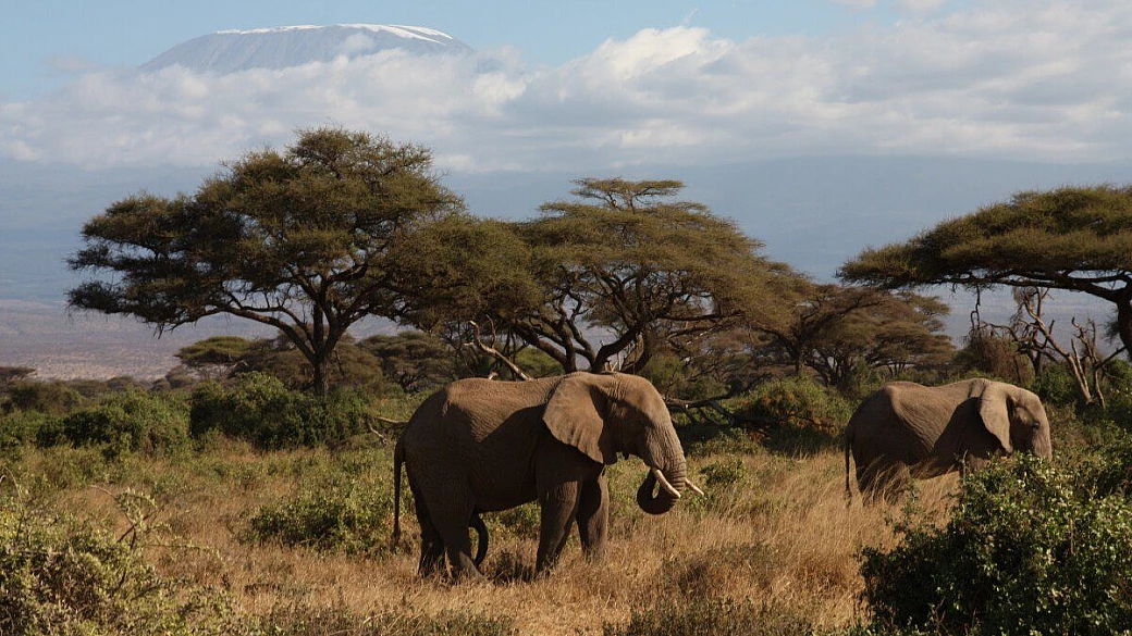 safari in kenya, esperienza meravigliosa