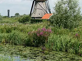 kinderdijk-natura-bskmj