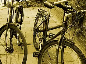 kinderdijk-natura-sr8rd