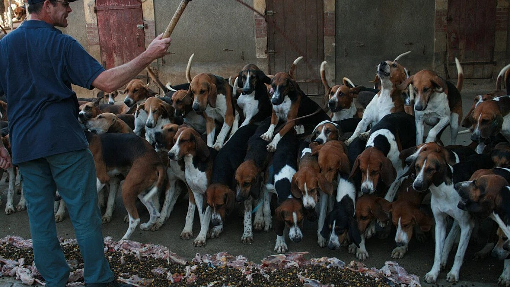 viaggio alla scoperta della normandia