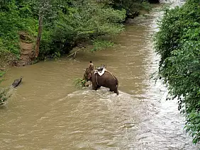koh-phangan-hotel-u2w3p