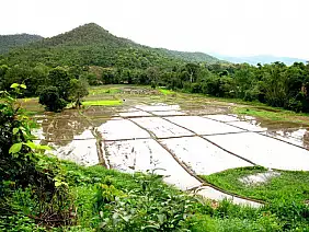 koh-phangan-hotel-w2ckz