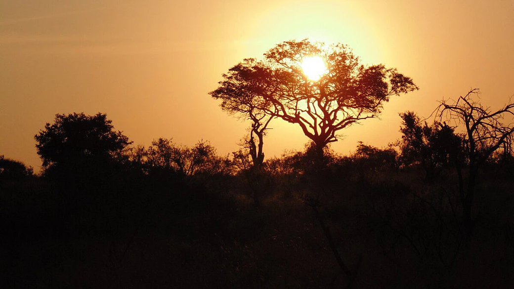 io e gli animali del sudafrica