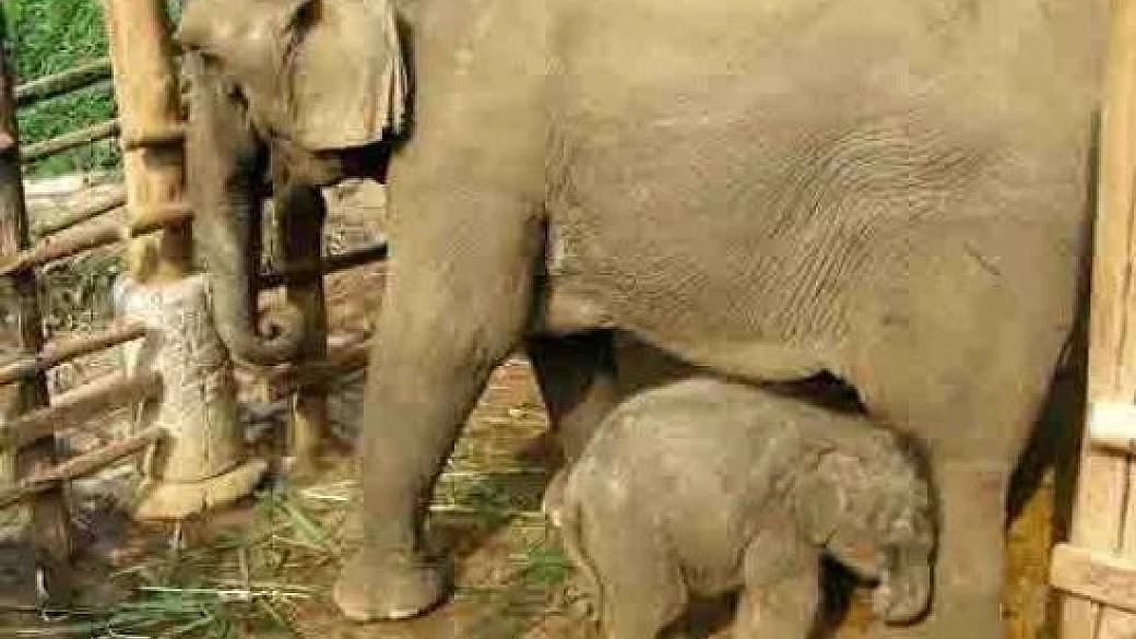 thailandia, tutto ciò che vorresti sapere