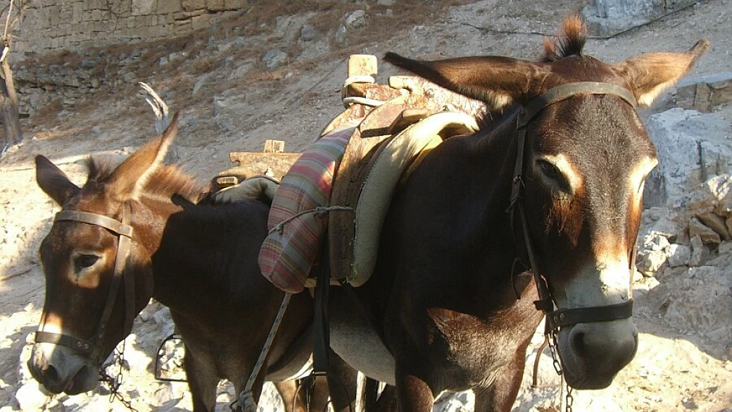 grecia tutta da scoprire