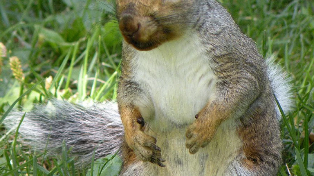 un vero viaggio…pre-nozze!!