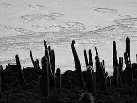 la-paz-panorama-1t6tt