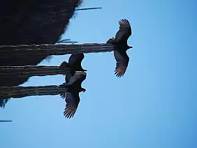 la-paz-panorama-1wew3